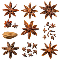 Set of star anise spice fruits and seeds isolated on white background.