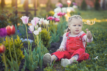 a little girl in a red overall near a blooming flowerbed with tulips