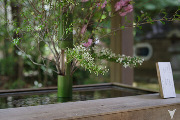 東京赤坂の氷川神社にある手水舎の生け花