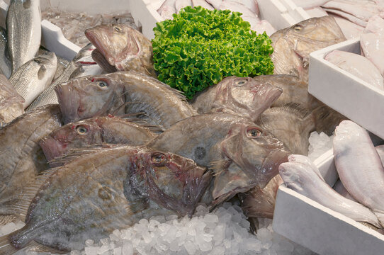 John Dory (Zeus faber) cooled with ice on Fishmonger's slab at the seafood market.