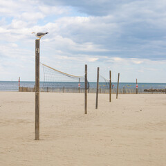 plage avec terrains de beach volley vides et mouette perchée