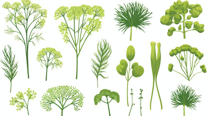 Dill set. Hand drawn sketch collection with greens