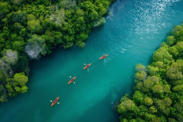 Captivating aerial view of kayakers gliding through tranquil, pristine waters amidst lush, vibrant foliage - obrazy, fototapety, plakaty