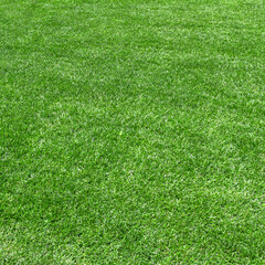 Synthetic grass background