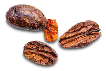 Top view of dry roasted cacao nibs isolated on white background with clipping path
