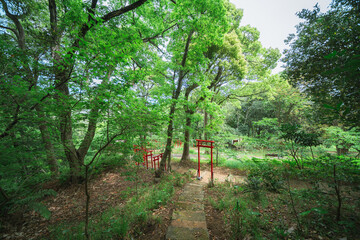 熱海の山の上の神社
