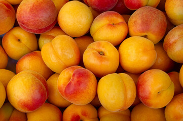Fresh Apricots for sale at the market. Apricots have many nutrition and healthy benefits. Fruit background and concept - obrazy, fototapety, plakaty