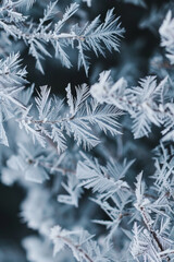 Textured intricate frost patterns and icy formations, offer a chilly and wintery backdrop, perfect for conveying coziness and seasonal charm in holiday-themed branding.