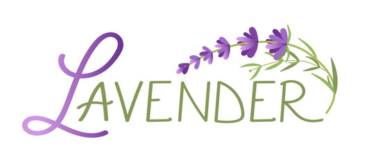 Hand drawn lavender flower logo design. Logo for cosmetics, beauty, tea, oil, herbs.