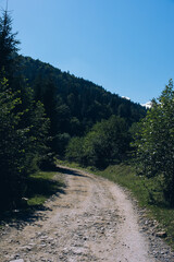 Obraz premium Beautiful sunrise in mountains with white fog below panorama