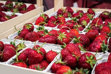 Strawberries are displayed in wooden boxes on a table.