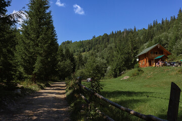 Ukraine Carpathians mountain forest river sun clouds beauty