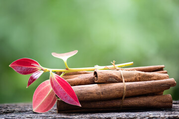 Cinnamon or Cinnamomum bark and leaves on natural background.