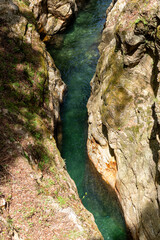 岩の間を流れる群馬県南牧村の蝉の渓谷