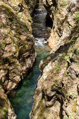 岩の間を流れる群馬県南牧村の蝉の渓谷