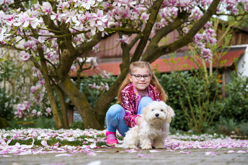 Little girl playing with her pet dog Maltese in park. Happy child and cute puppy. Spring time,...