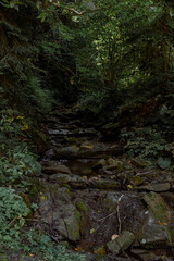 Beautiful sunrise in mountains with white fog below panorama