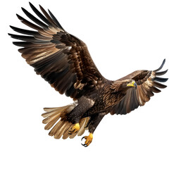 A proud eagle in flight, wings spread wide, showcasing power, on a transparent background.