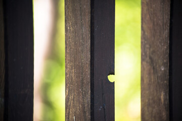 Nahaufnahme von Holzlatten einer Brücke