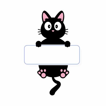 cat with sign