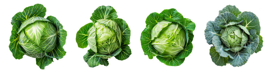 Set of cabbage isolated on transparent background