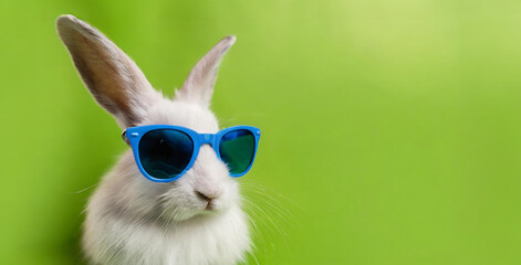 Portrait of a fashionable bunny in sunglasses isolated on a blue background. Generative AI