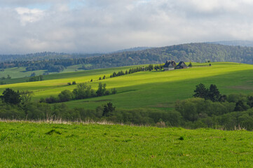 Obraz premium Polish Landscapes in Spring. Green and fresh grass.