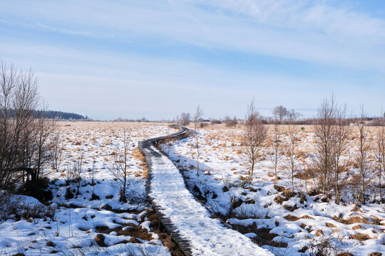 Boardwalk in winter on the Hautes fagnes in Belgium