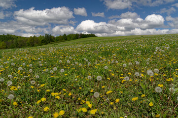 Landscape of Eastern Slovakia, Beautiful charming areas.