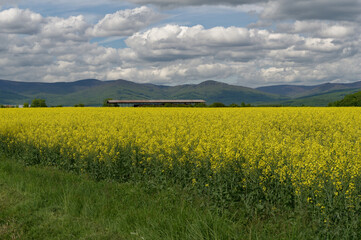 Landscape of Slovakia, Vihorlat mountains in spring.