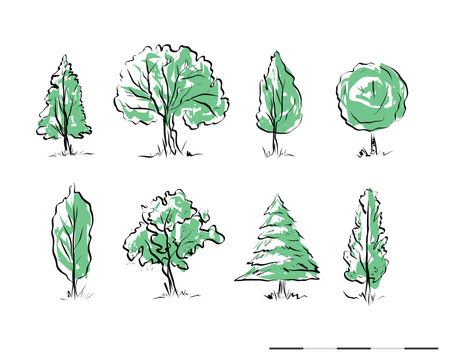 Tipos de arboles 01