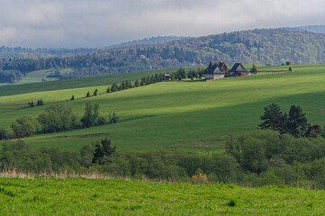 Krajobraz w górach Bieszczady, Polska, zieleń w Europie Środkowej.