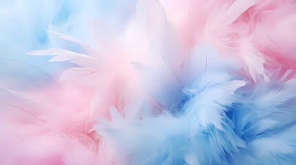 Soft and downy feathers