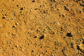 Desert sand as natural background.