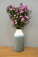 Closeup flower of Easter daisies, botanical name Aster in the clay pitcher isolated on wooden table