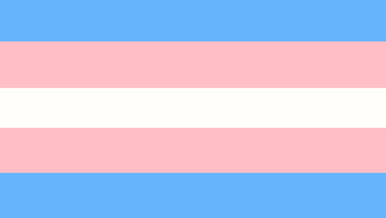 Transgender pride community flag, one of a LGBT. Sexual minorities identity