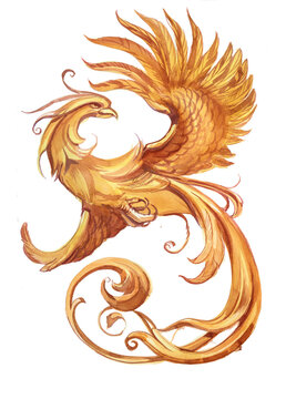 Phoenix illustration isolated on white. Fantasy creature watercolor clipart.