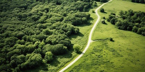 Top aerial view of the road path way with asphalt and many green trees on the field background deocration. Can be used for travel adventure trip journey inspiration scene