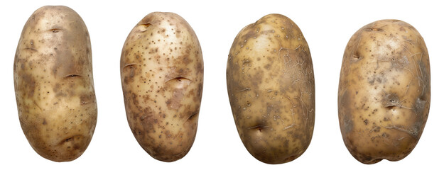 set of potatoes isolated on transparent background
