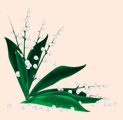 Falling white lilies of the valley with green leaves. Vector illustration of spring flowers in watercolor style on a light background, isolated.