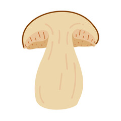 Sliced Porcini forest mushroom. Hand drawn boletus edulis fungus. Porcini fresh edible mushrooms flat style decor element. Cep. King bolete on white background. Penny bun Vector illustration