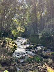 湯河原の川