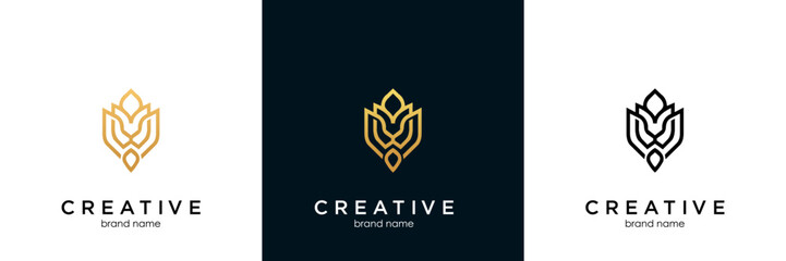 king lion logo, luxury lion line logo icon vector