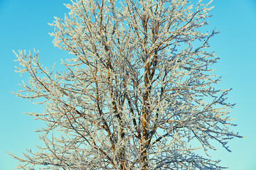 Winter time in the cultural landscape of Toten, Norway, in January. Image shot in the area between Kolbu Church and Gardlausstua.