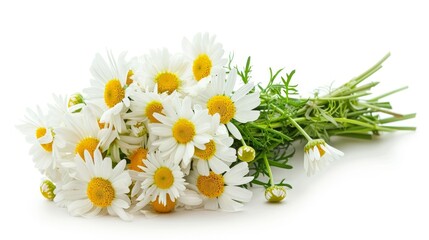 Bouquet of daisies on a white background - Powered by Adobe
