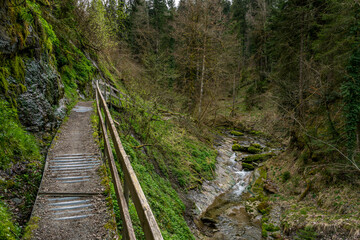 Attractive hike through the Hausbachklamm near Weiler im Allgau