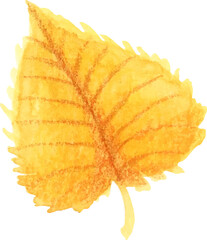 leaf isolated watercolor