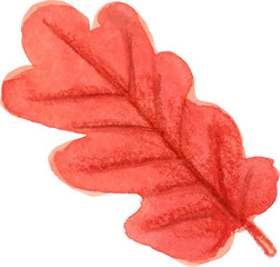 red oak leaf  watercolor
