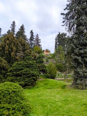 nature park with a cabin on a rock