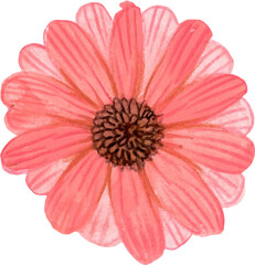 Gerbera flower png watercolor